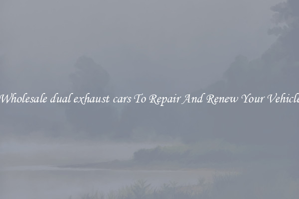 Wholesale dual exhaust cars To Repair And Renew Your Vehicle