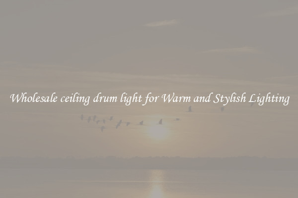 Wholesale ceiling drum light for Warm and Stylish Lighting