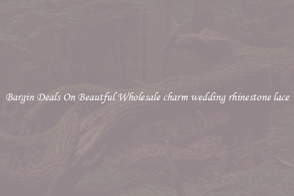 Bargin Deals On Beautful Wholesale charm wedding rhinestone lace