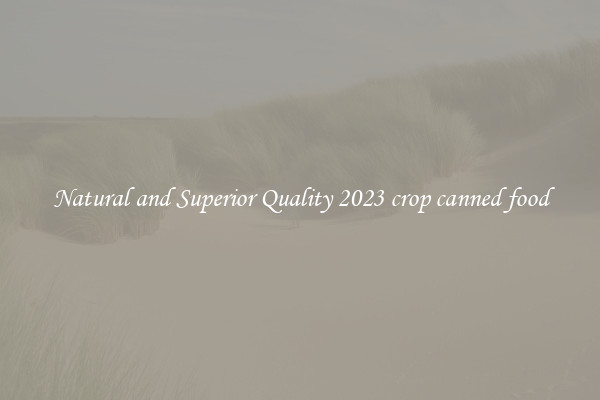 Natural and Superior Quality 2023 crop canned food