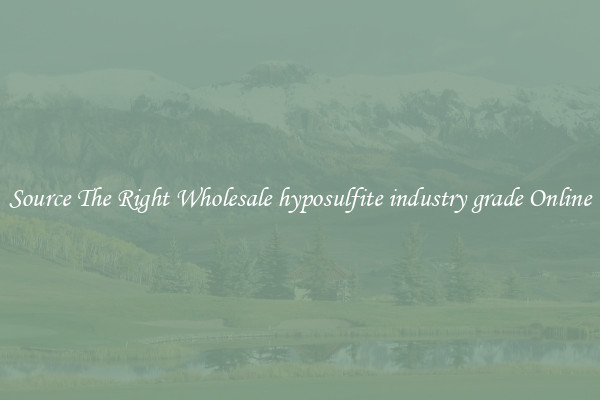 Source The Right Wholesale hyposulfite industry grade Online
