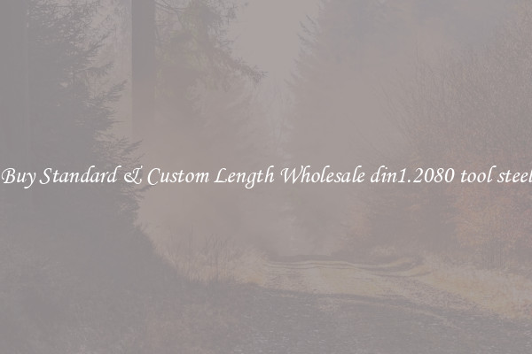 Buy Standard & Custom Length Wholesale din1.2080 tool steel