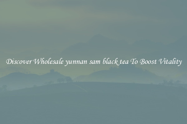 Discover Wholesale yunnan sam black tea To Boost Vitality