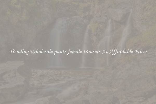 Trending Wholesale pants female trousers At Affordable Prices
