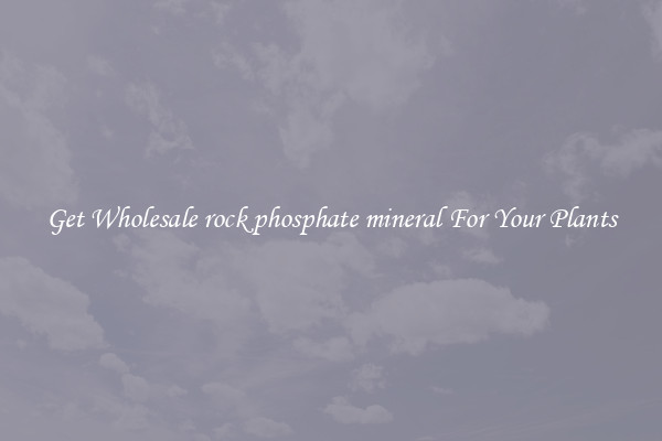 Get Wholesale rock phosphate mineral For Your Plants