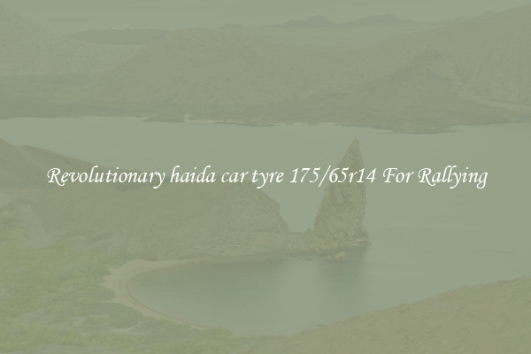 Revolutionary haida car tyre 175/65r14 For Rallying