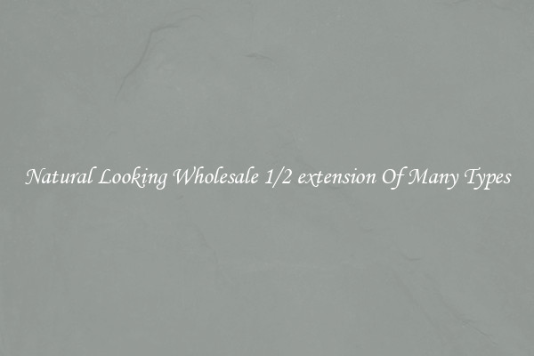 Natural Looking Wholesale 1/2 extension Of Many Types