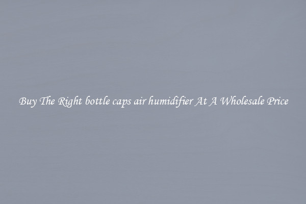Buy The Right bottle caps air humidifier At A Wholesale Price