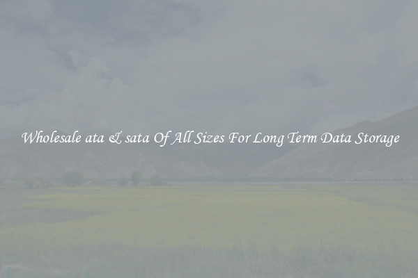 Wholesale ata & sata Of All Sizes For Long Term Data Storage