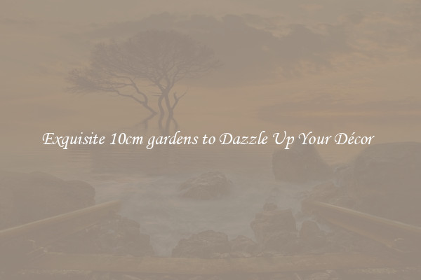 Exquisite 10cm gardens to Dazzle Up Your Décor  