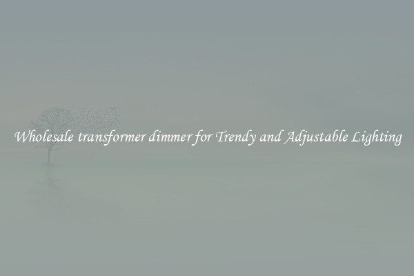 Wholesale transformer dimmer for Trendy and Adjustable Lighting