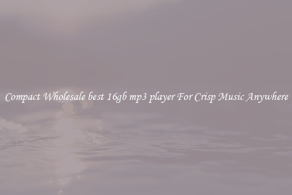 Compact Wholesale best 16gb mp3 player For Crisp Music Anywhere