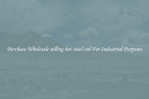 Purchase Wholesale selling hot steel coil For Industrial Purposes