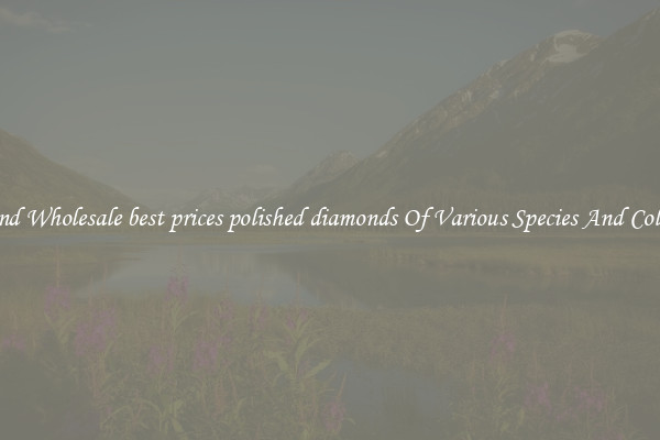 Find Wholesale best prices polished diamonds Of Various Species And Colors