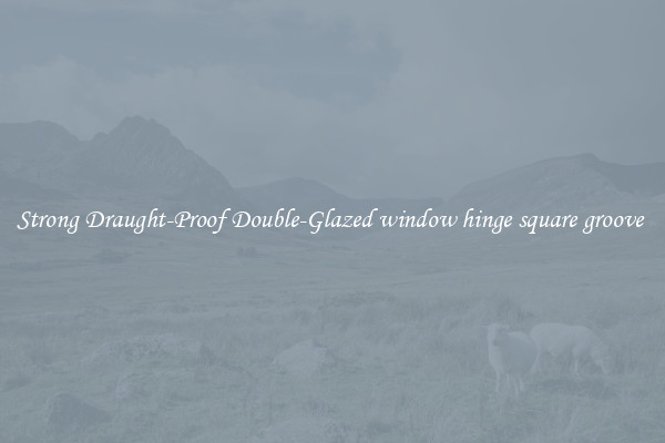 Strong Draught-Proof Double-Glazed window hinge square groove 