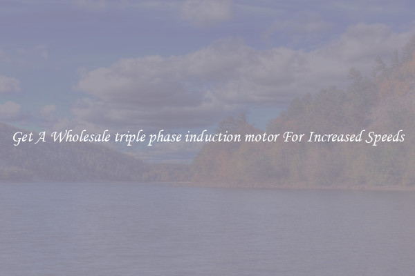 Get A Wholesale triple phase induction motor For Increased Speeds
