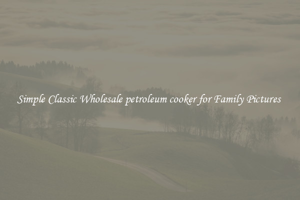 Simple Classic Wholesale petroleum cooker for Family Pictures 