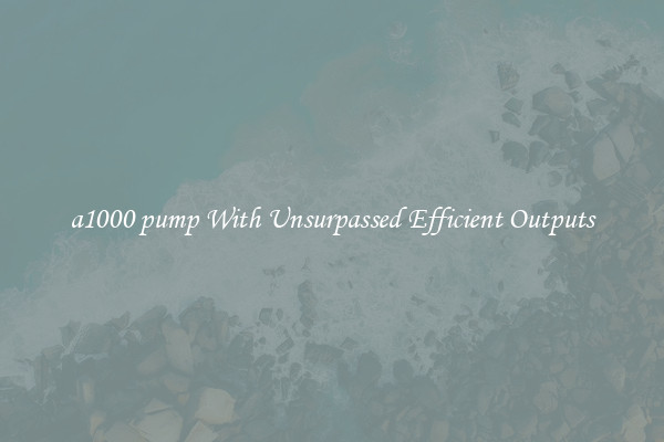 a1000 pump With Unsurpassed Efficient Outputs