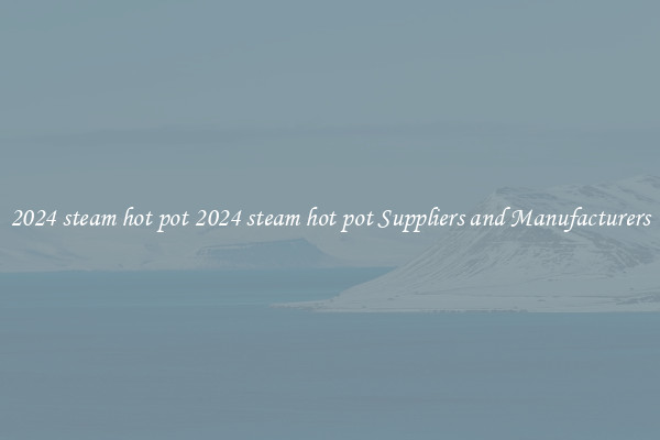2024 steam hot pot 2024 steam hot pot Suppliers and Manufacturers
