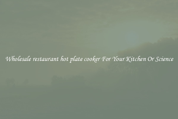 Wholesale restaurant hot plate cooker For Your Kitchen Or Science