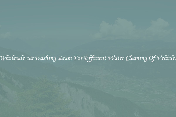 Wholesale car washing steam For Efficient Water Cleaning Of Vehicles