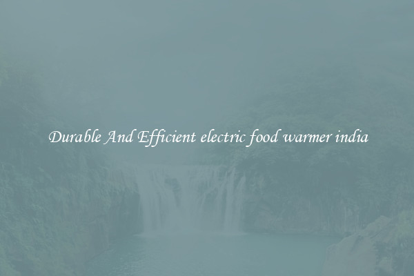 Durable And Efficient electric food warmer india