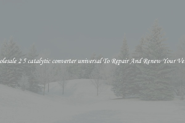 Wholesale 2 5 catalytic converter universal To Repair And Renew Your Vehicle
