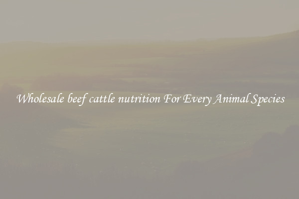 Wholesale beef cattle nutrition For Every Animal Species