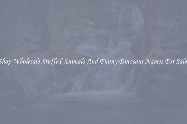 Shop Wholesale Stuffed Animals And Funny Dinosaur Names For Sale!