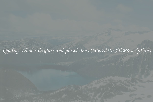Quality Wholesale glass and plastic lens Catered To All Prescriptions